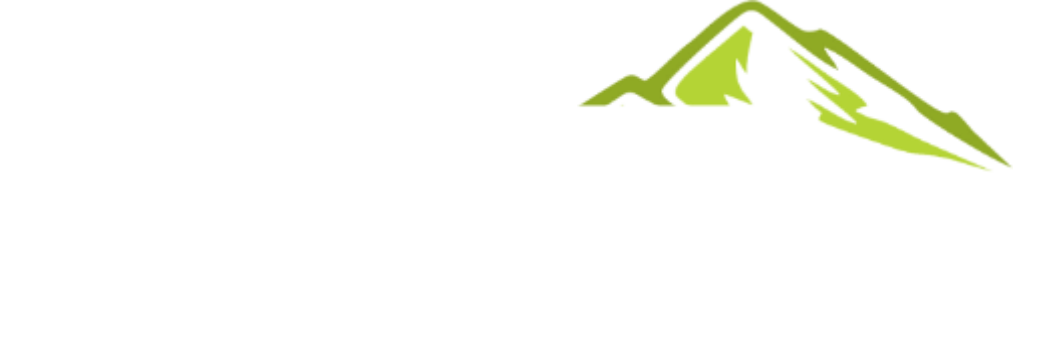 Wi-5 Wireless Internet Services